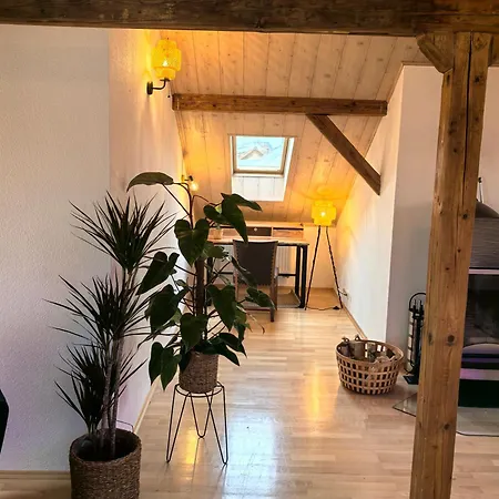 Exquisit Apartamento *